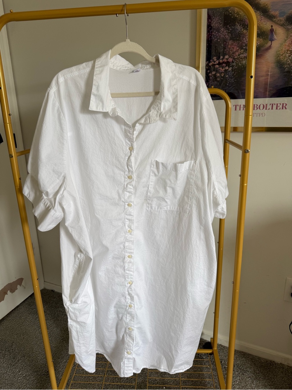 Plus Size White Button-Down Shirt Dress